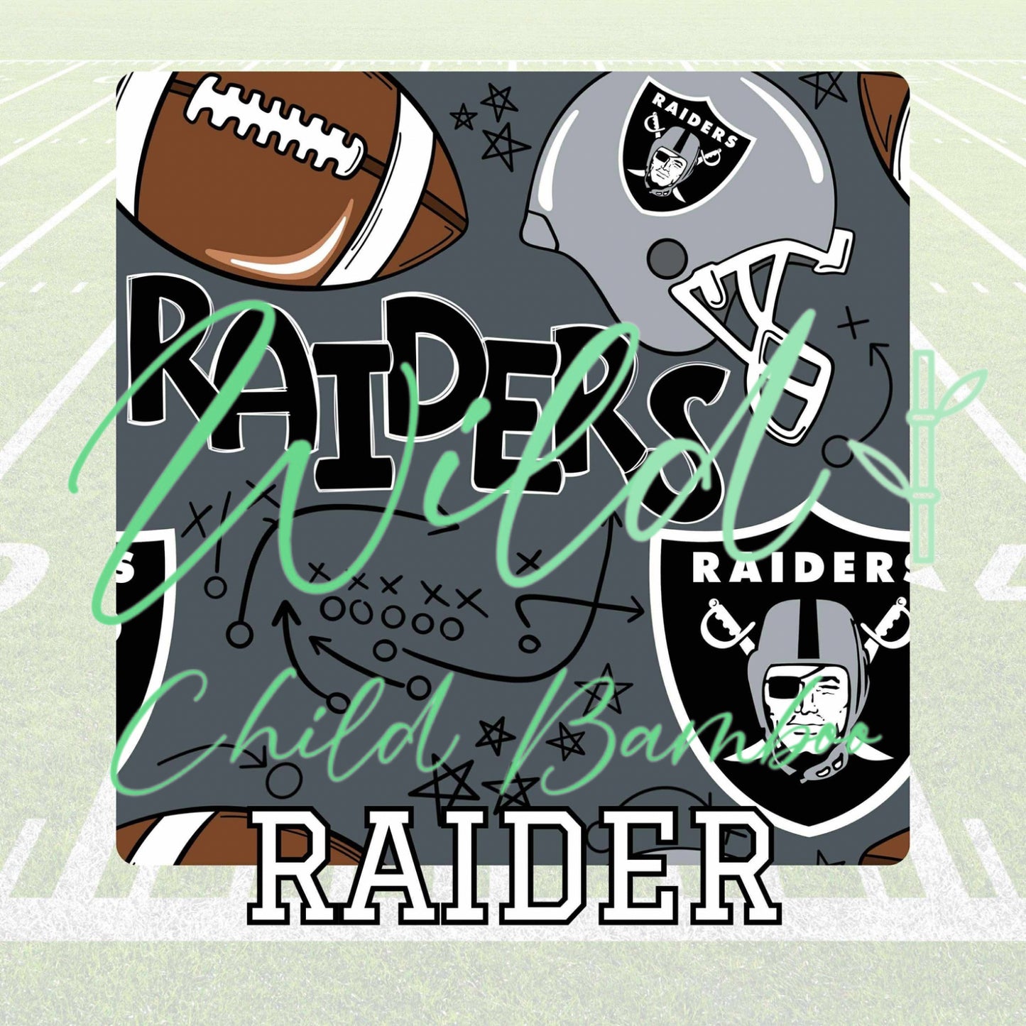 (PRE ORDER) RAIDER