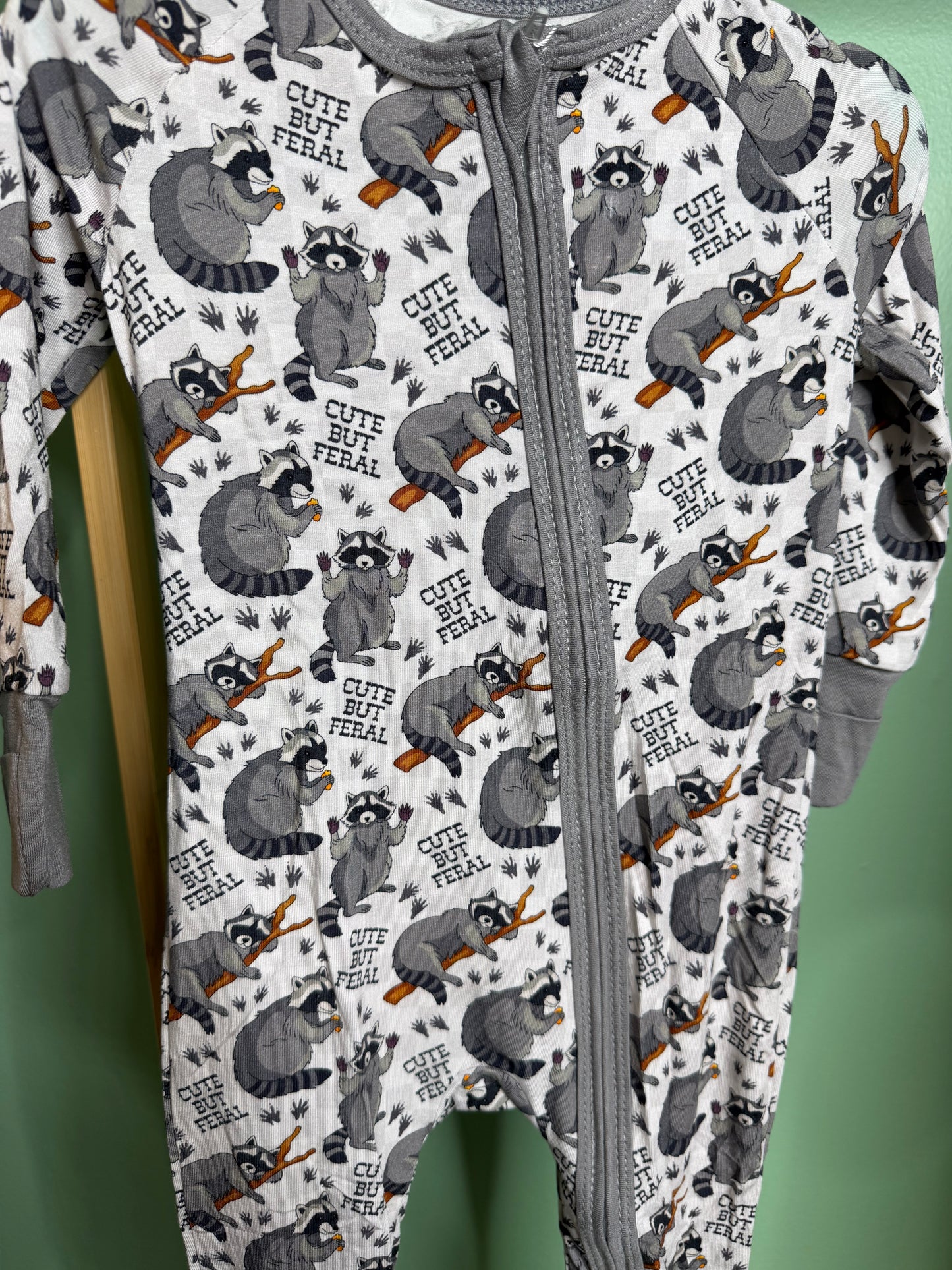 Raccoon Zippy