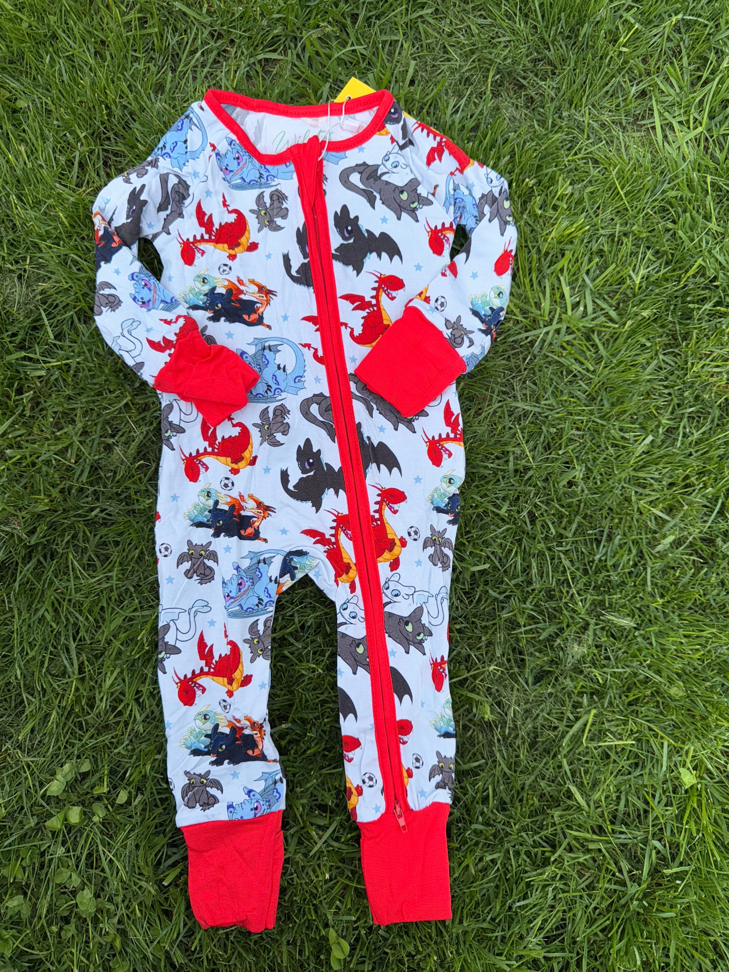 Dragons Sleeper