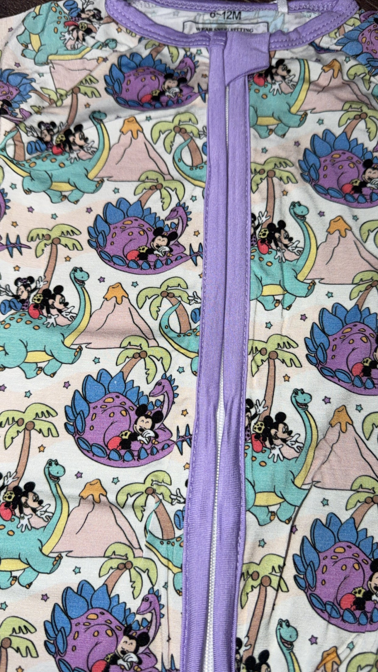 Mouse and Dino Shortie