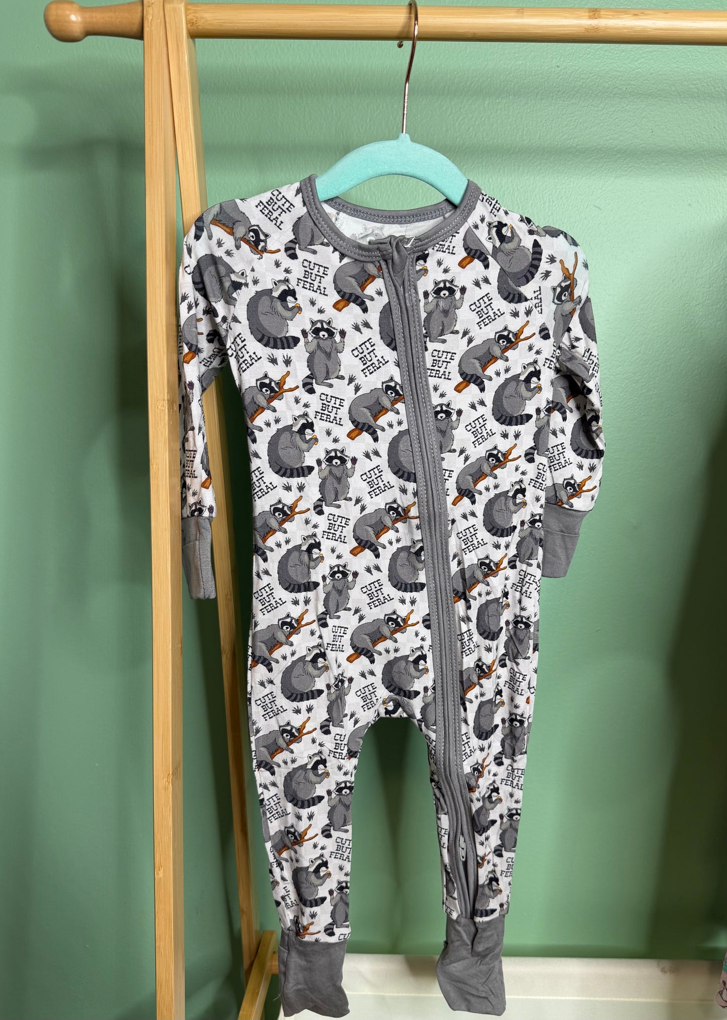 Raccoon Zippy