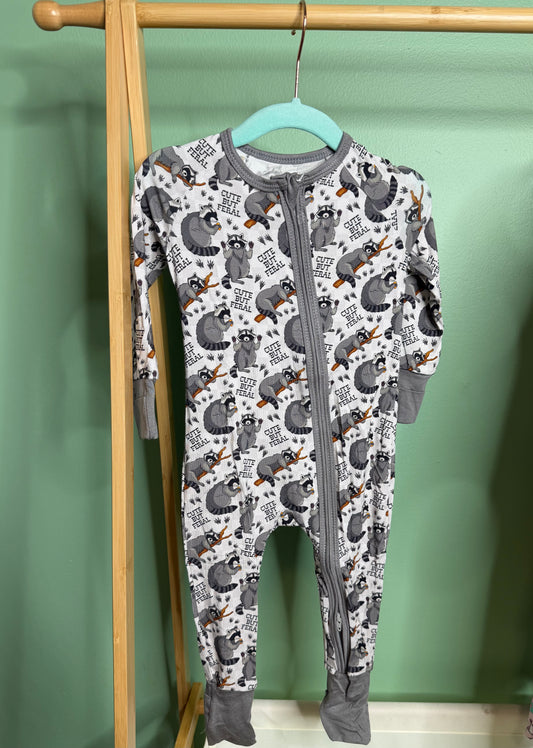 Raccoon Zippy