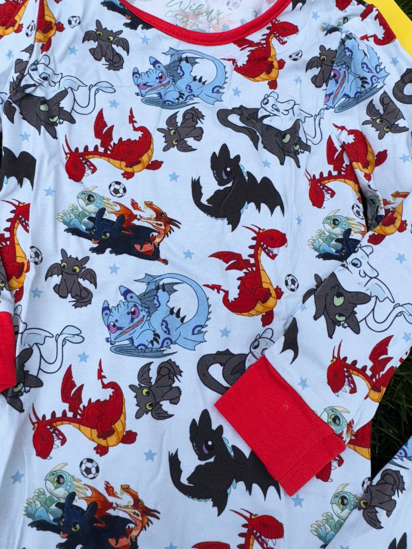 Dragons 2 Piece