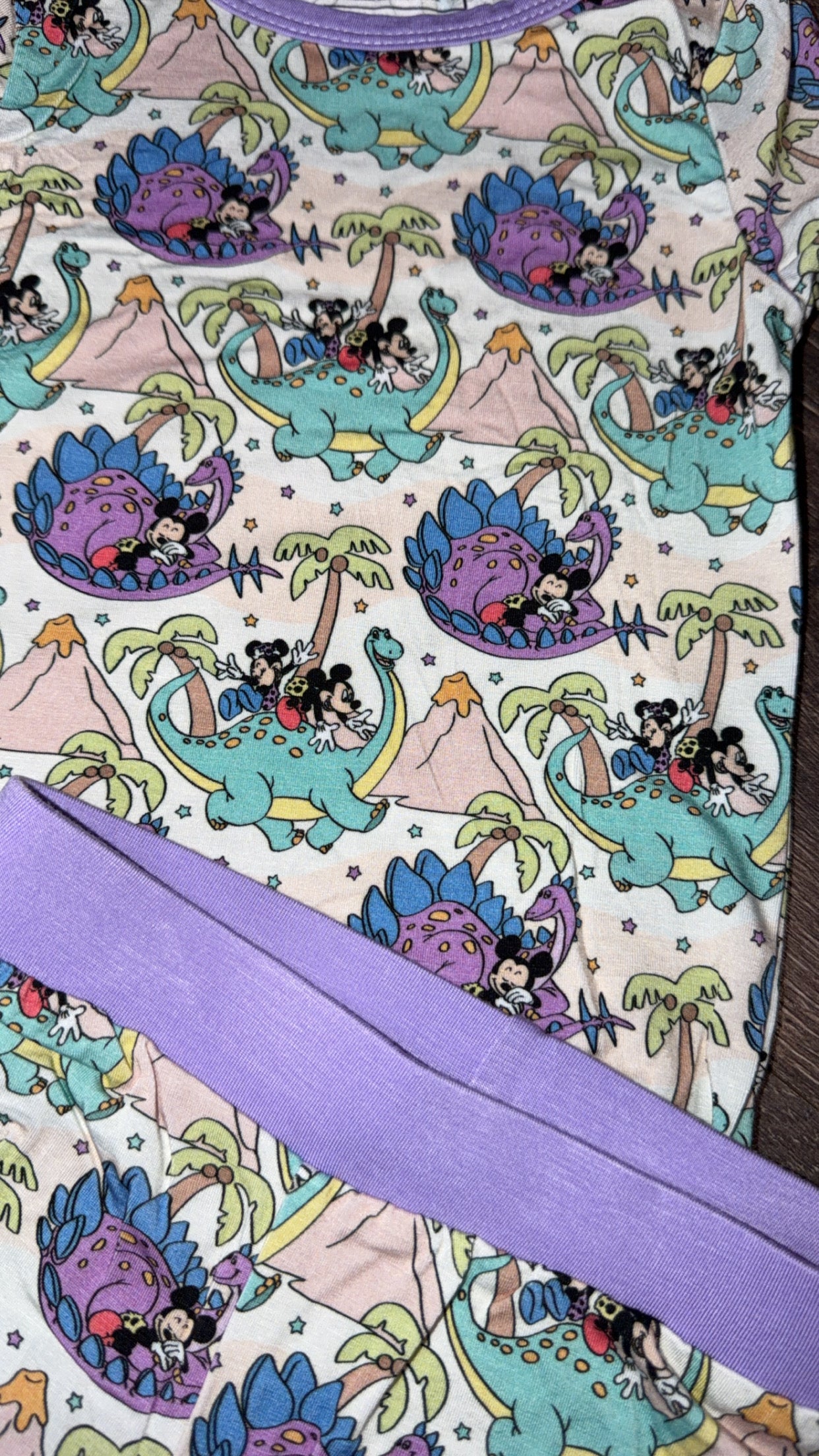 Mouse and Dino Short Set